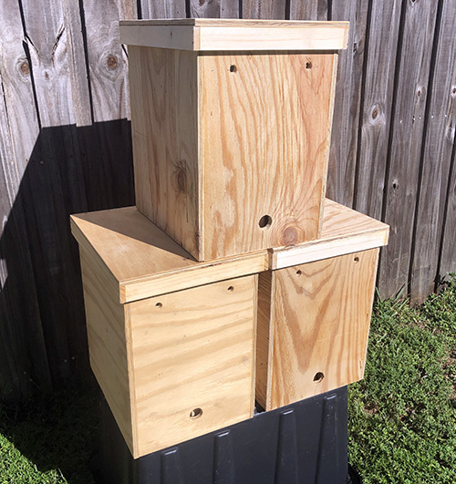 Layens Swarm Trap / Nuc
